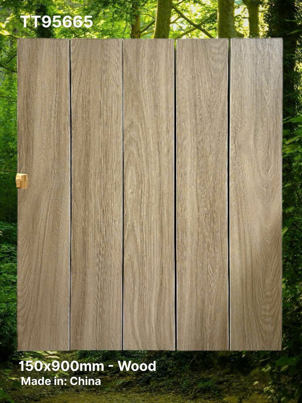 TT95665