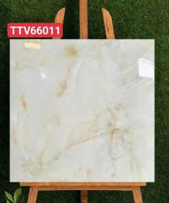 Gạch 60.60 TTV66011
