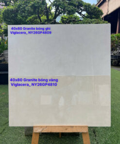 Gạch 4080 bóng kính NY26GP4810