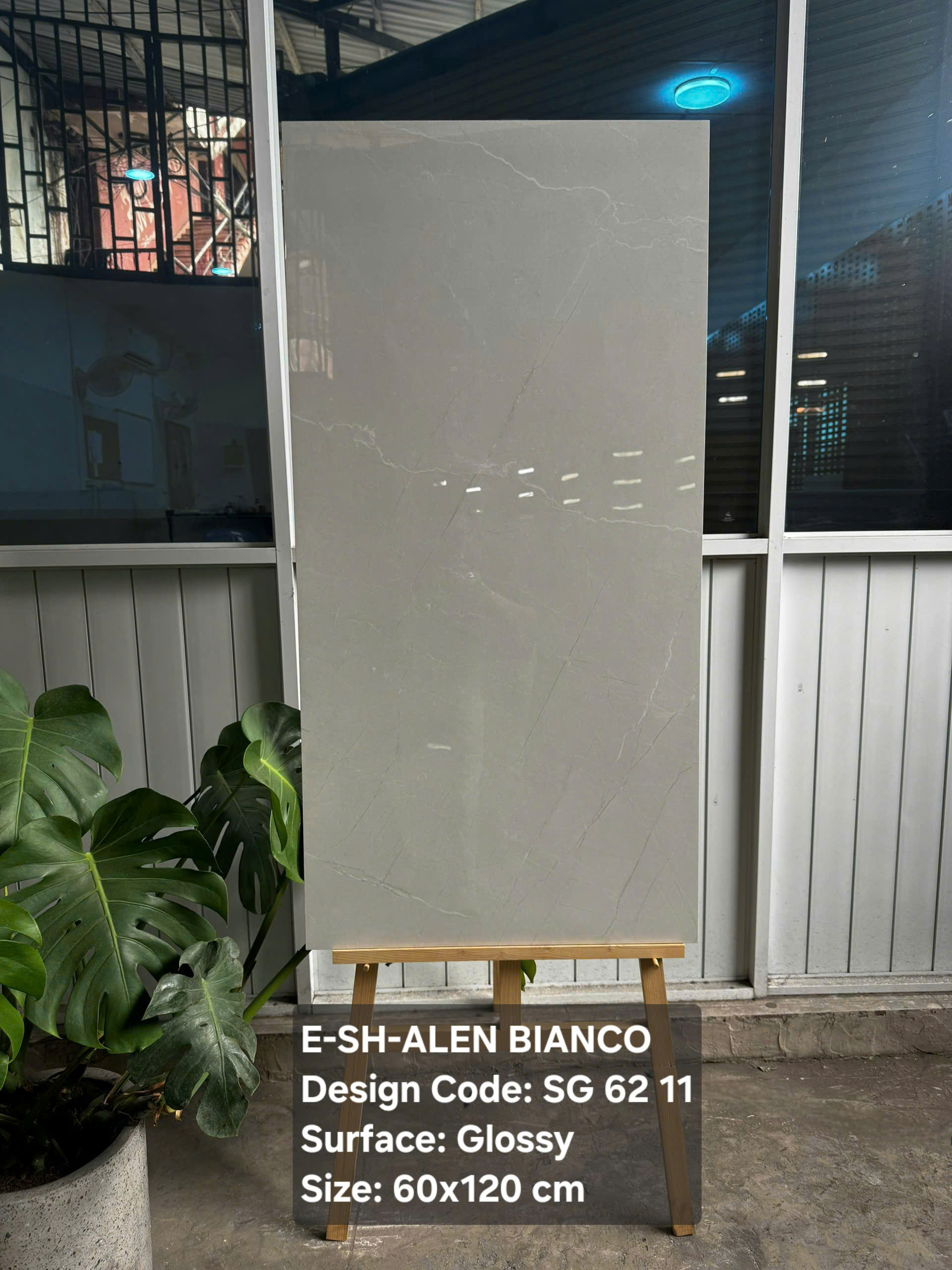gạch 60120 ELEN BILANCO ẤN ĐỘ gạch 60120 ELEN BILANCO ẤN ĐỘ